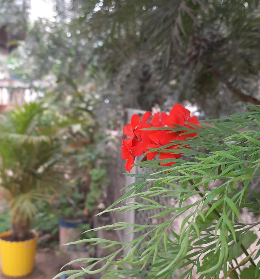 Trimurti Holiday Home Panchgani Εξωτερικό φωτογραφία