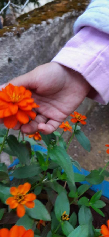 Trimurti Holiday Home Panchgani Εξωτερικό φωτογραφία