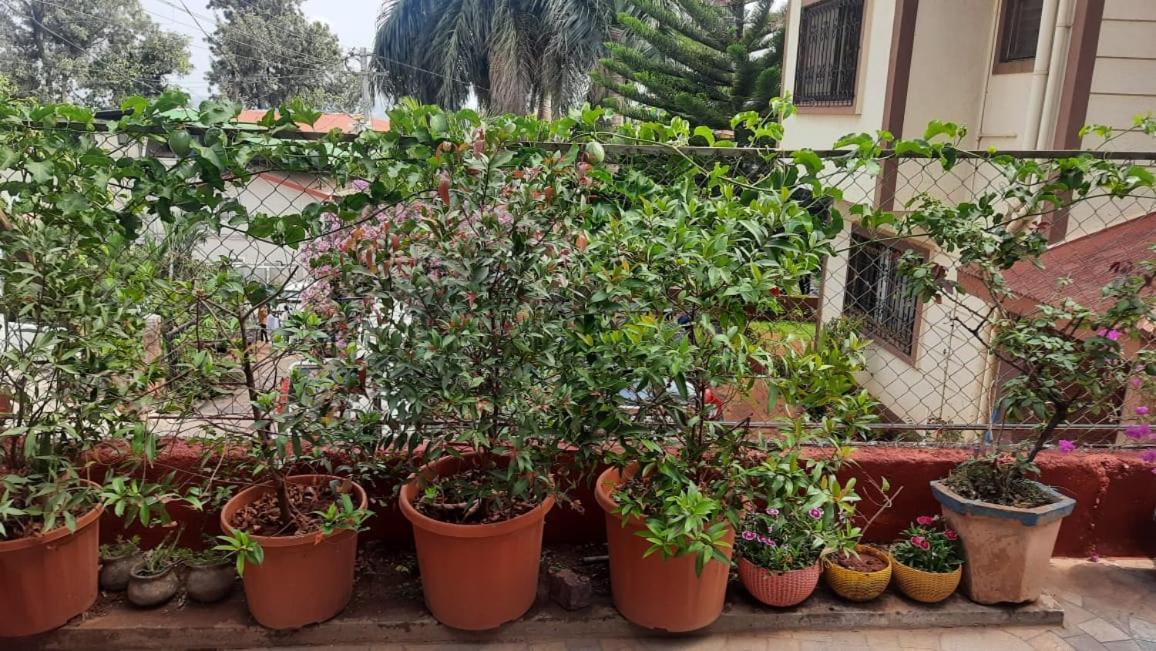 Trimurti Holiday Home Panchgani Εξωτερικό φωτογραφία